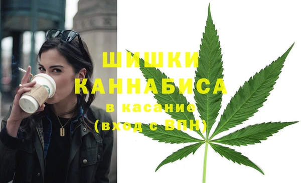 мяу мяу мука Абаза