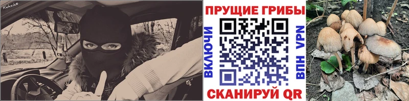 Галлюциногенные грибы мухоморы  Новосибирск 