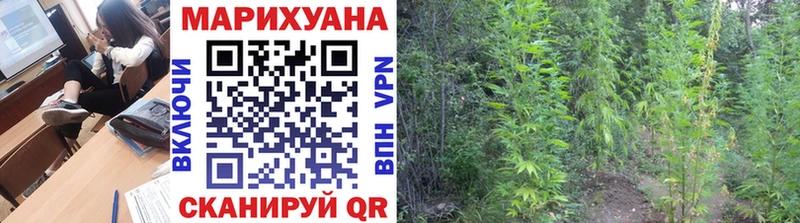 hydra вход  Новосибирск  Шишки марихуана гибрид 